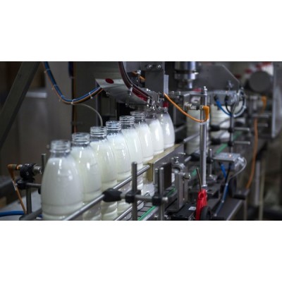 З якими ризиками стикались виробники молока та чому навчились протягом року?