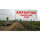 В Україні зафіксували спалах сибірської виразки