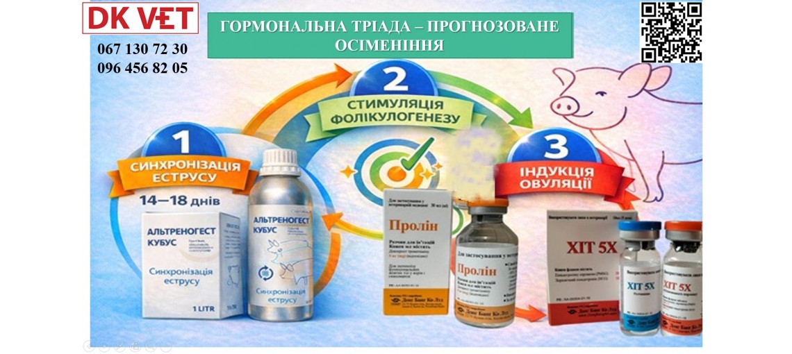 Донги