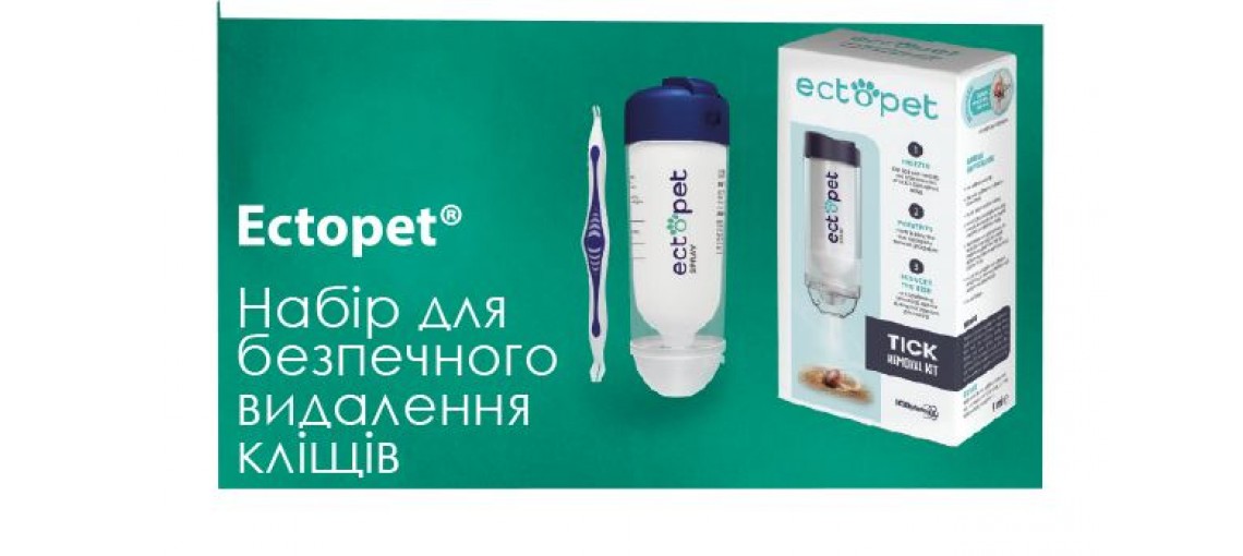 Кліщі