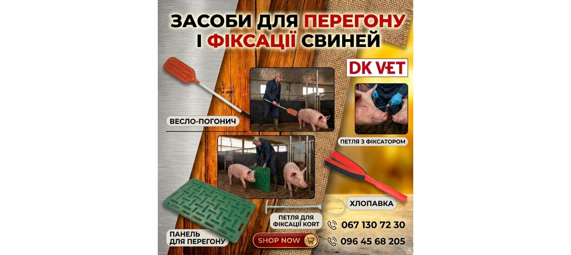 Свині